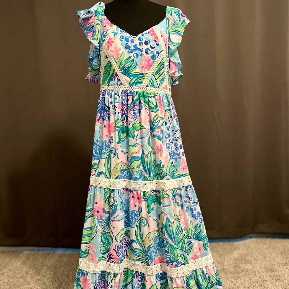 Lilly Pulitzer Ivie Maxi Dress – Kitten Around – Size Medium Large / 10